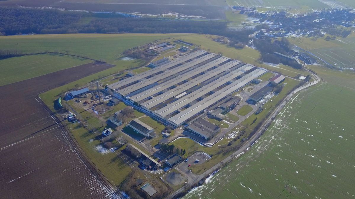 Factory Farm in Thuringia, Germany. © Greenpeace