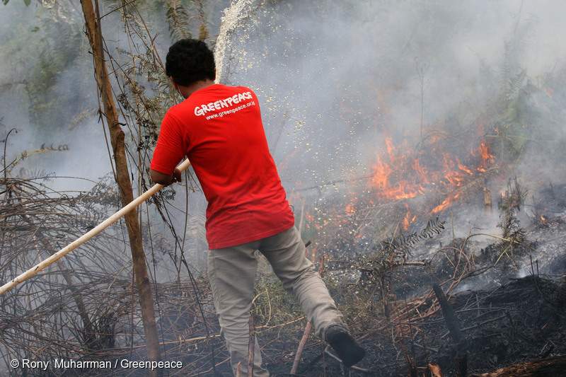 In Indonesia tornano gli incendi, foreste in fiamme ...