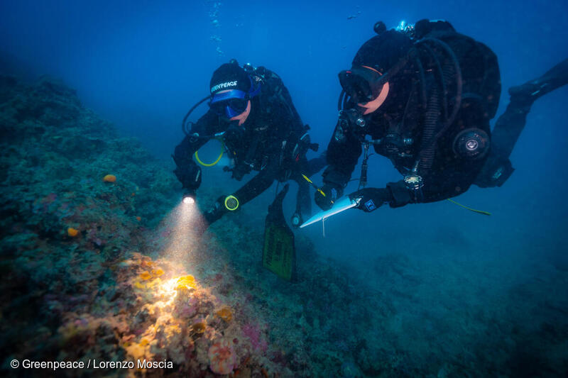 L'Area Marina Protetta delle Cinque Terre aderisce a Mare Caldo -  Greenpeace Italia