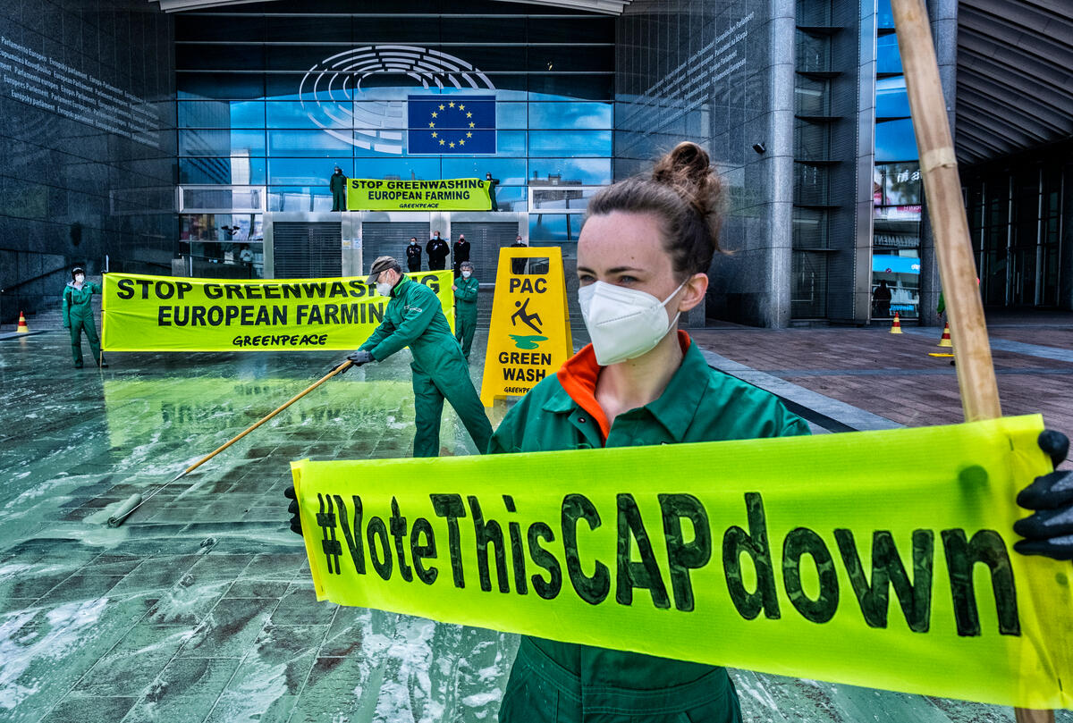 Greenwash Action at EU Parliament in Brussels.