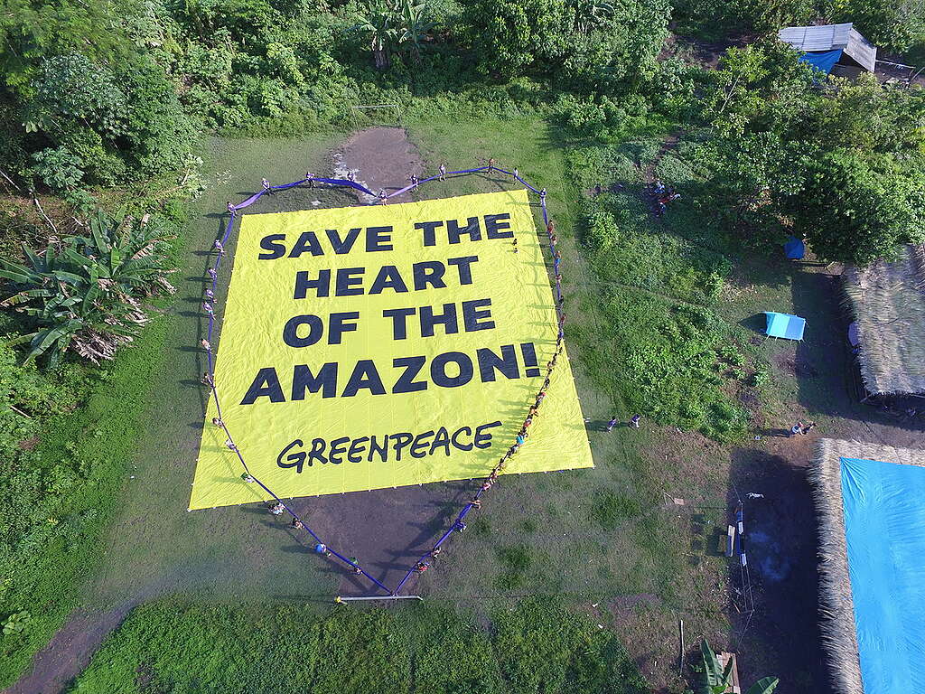 Save the Heart of the Amazon Banner. © Greenpeace