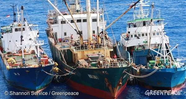 グリーンピース　海をまもる　ペットフード　人権問題