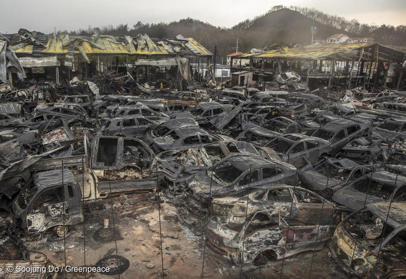 2019年4月に韓国・江原道東部で発生した森林火災の被害。専門家は、異常気象により乾燥した空気と強風で急速に大規 模な火災に発展したとみている。 