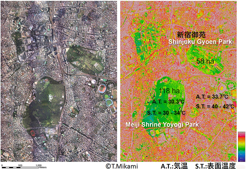 東京の代々木公園や新宿御苑近辺の空撮画像と、その地域の気温・表面温度を図にしたもの