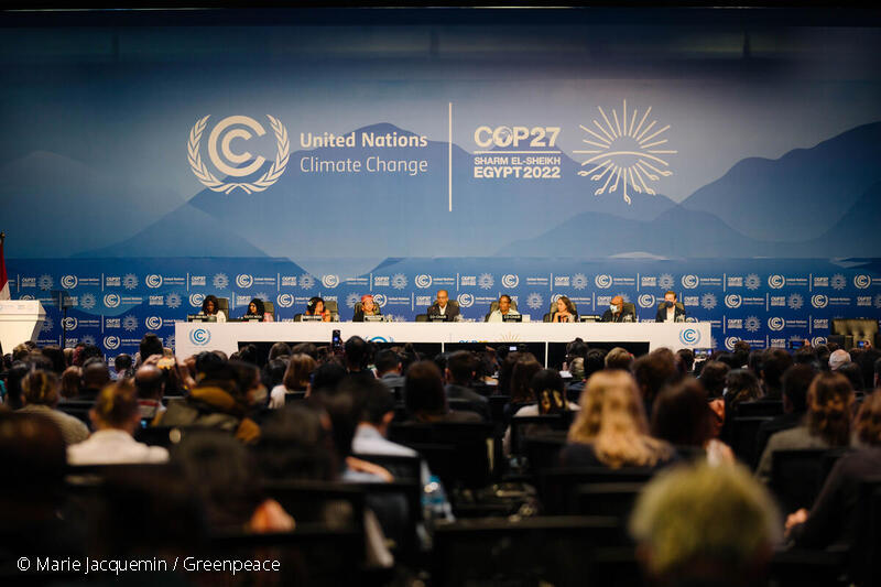 今年11月にエジプトで行われたCOP27気候変動枠組条約締約国会議