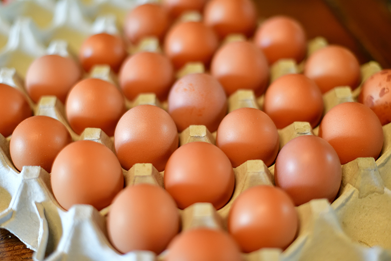 毎日生まれる新鮮な卵を販売している「えすぺり」