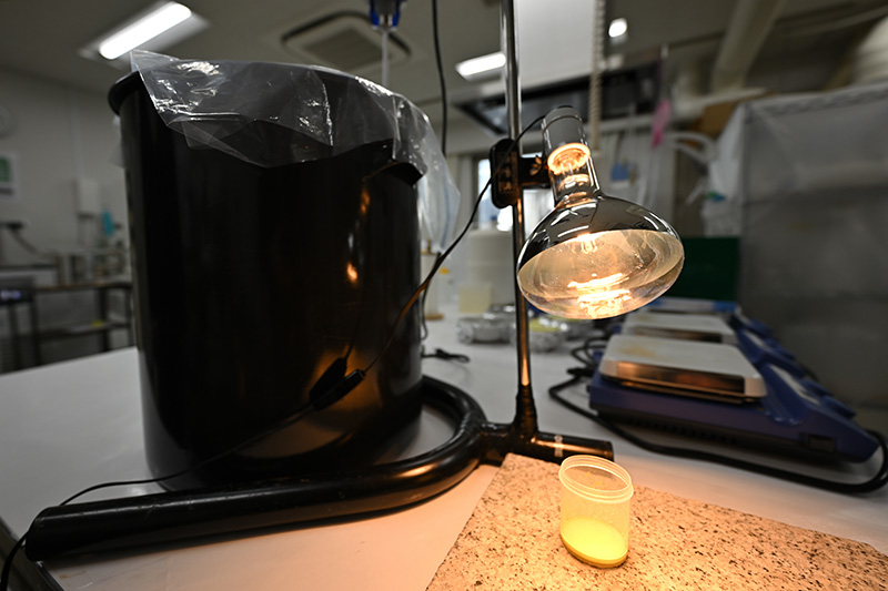 水中セシウムを濃縮して分析するリンモリブデン酸アンモニウム法で、水分を蒸発中のサンプル。数ミリベクレル（mBq）の極微量な放射性物質を検出できる 
©Ryohei Kataoka/Greenpeace