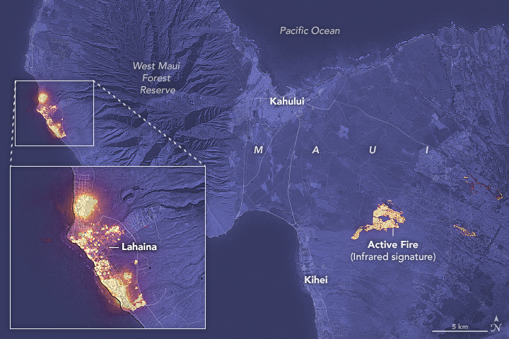 ハワイ州・マウイ島の2023年8月8日のサテライト画像（出典：NASA earth observatory）