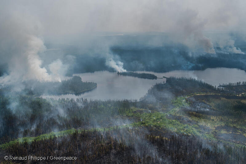 カナダ・ケベック州の森林火災。（2023年6月撮影）