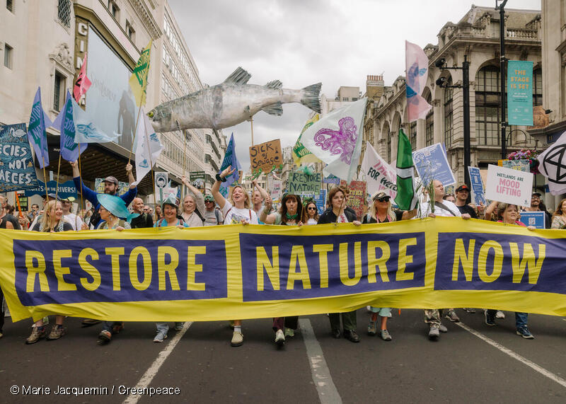 イギリス、ロンドンで行われた自然回復のためのデモ