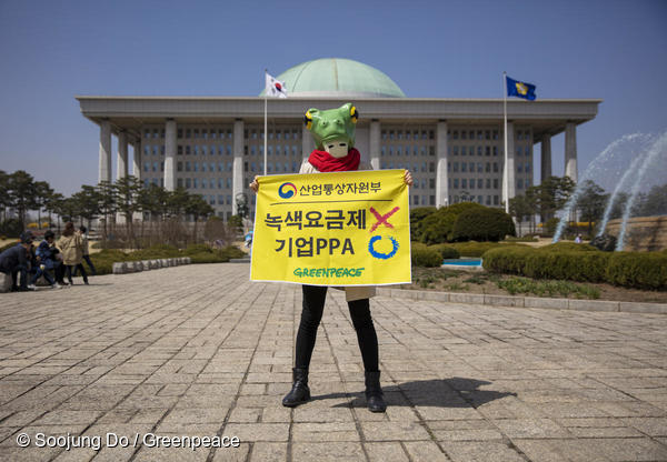 지난 4월 서울 여의도 국회에서 그린피스 행동가가 청개구리 가면을 쓰고 기업 재생가능에너지 구매제약제도(PPA) 도입을 요구하고 있다.