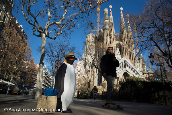 10 Enero 2018. Barcelona . Marcha de los PingüinosLa pingüina Antonia visita la Sagrada Familia durante su viaje a Barcelona. Esta visita a la Ciudad Condal forma parte de la Marcha Antártica de los Pingüinos, que se encuentran de ruta por algunos países del mundo para atraer la atención sobre las aguas del océano Antártico, para el que piden protección. © Ana Jimenez/ Greenpeace Handout - No ventas -No Archivos - Uso editorial solamente - Uso libre solamente para 14 días después de liberación. Foto proporcionada por GREENPEACE, uso solamente para ilustrar noticias o comentarios sobre los hechos o eventos representados en esta imagen.© Ana Jimenez/ Greenpeace Handout - No sales - No Archives - Editorial Use Only - Free use only for 14 days after release. Photo provided by GREENPEACE, distributed handout photo to be used only to illustrate news reporting or commentary on the facts or events depicted in this image.