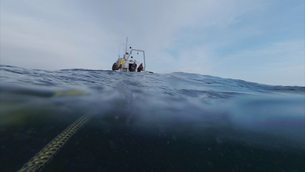 Asakaze, a Japanese research vessel chartered by Greenpeace Japan, conducts its radiation survey work off shore of Fukushima Prefecture - sea bed survey and sampling of marine sediment - with the Rainbow Warrior acting as a campaign support ship. A gamma ray spectrometer is used to measure the distribution of radioactivity discharged from the plant, and sampling and the under water videos /stills documentation are conducted by a Remotely Operated Vehicle (ROV). All samples will be sealed upon before transport to independent laboratories in Japan and France.