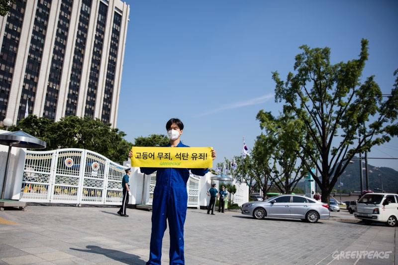 2016년 6월 3일, 서울 정부청사 앞에서 "고등어 무죄, 석탄 유죄!"라는 문구를 들고 있는 그린피스 서울사무소 손민우 캠페이너