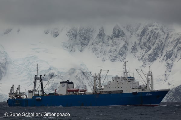 The Korean krill trawler Sejong off the coast of Trinity Island in the Gerlache Strait, Antarctic.