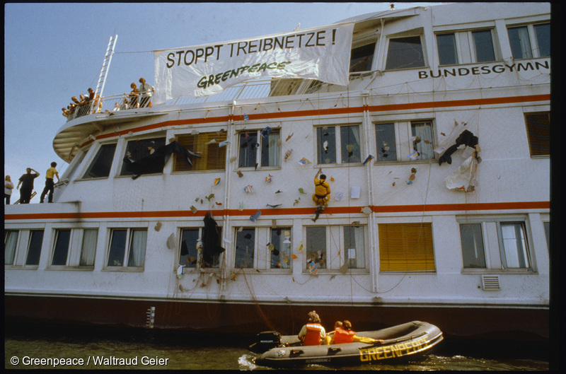 1998년, 그린피스 활동가들이 30미터의 긴 유자망(Drift net)을 항해 실습선 옆에 매달았다.
