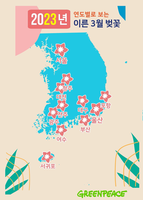 지난 2023년 3월 이른 벚꽃이 개화한 지역