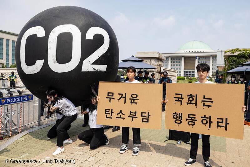 청년들이  정부에 미래세대를 위한 탄소예산을 반영한 온실가스 감축목표의 설정을 요구하고 있다.  