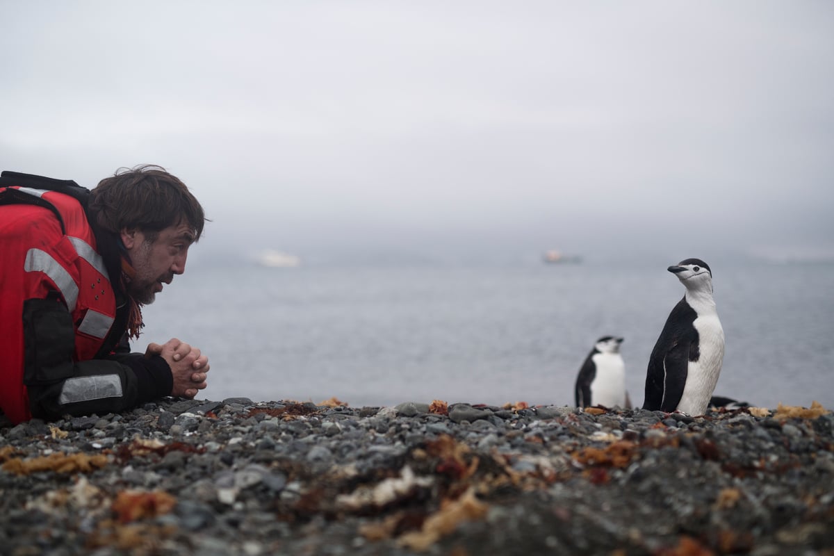 Carlos Bardem and Chinstrap Penguin in the Antarctic. © Christian Åslund