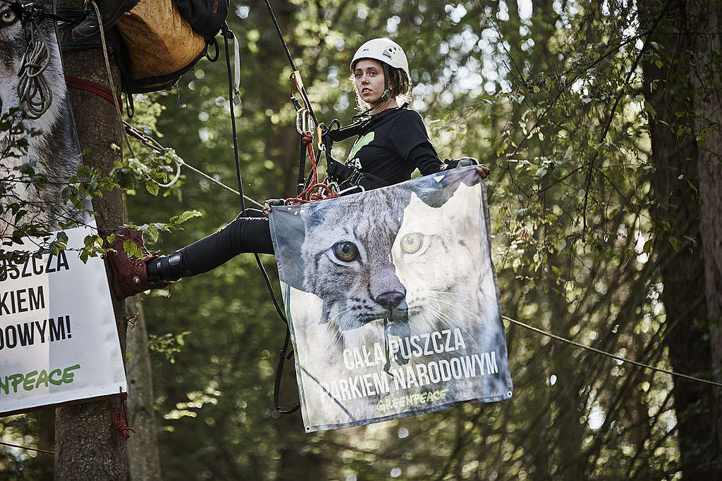 Activists in Bialowieza Forest. © Anonymous