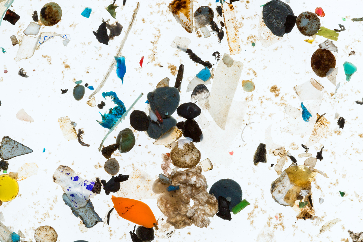 Microplastics from German Rivers. © Fred Dott