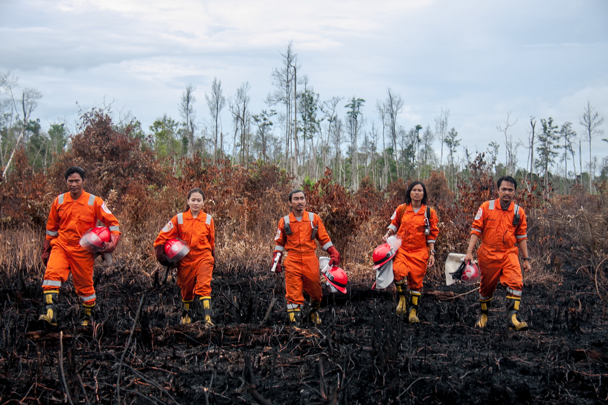 FFP Deployment 2017 Mopping Up Fire in West Kalimantan. © Fully Syafi / Greenpeace