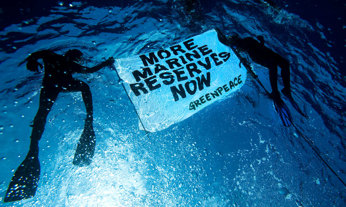 Greenpeace Divers in the Pacific Ocean. © Greenpeace / Paul Hilton