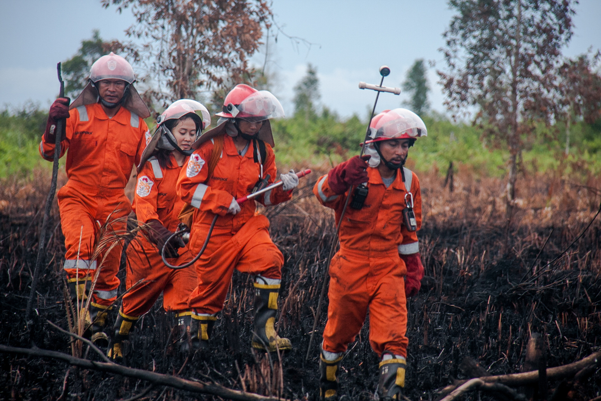 FFP Deployment 2017 Mopping Up Fire in West Kalimantan. © Fully Syafi / Greenpeace