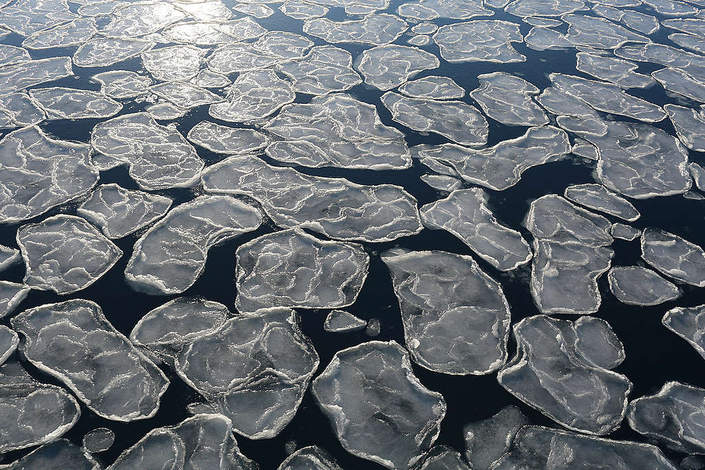 Ice Floating on the Arctic Ocean. © Nick Cobbing / Greenpeace