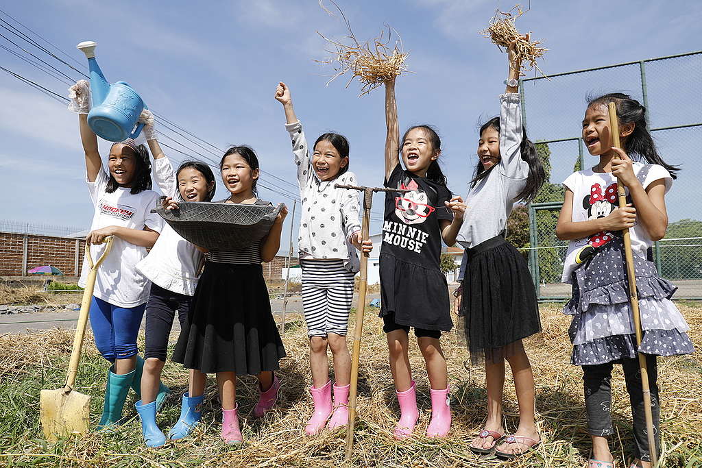 'We Grow' Project Preparation in Thailand. © Roengchai  Kongmuang / Greenpeace