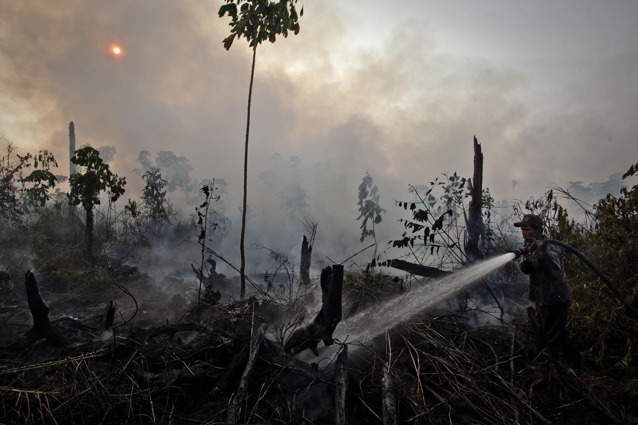 Fighting Forest Fires in Sumatra. © Ulet  Ifansasti / Greenpeace