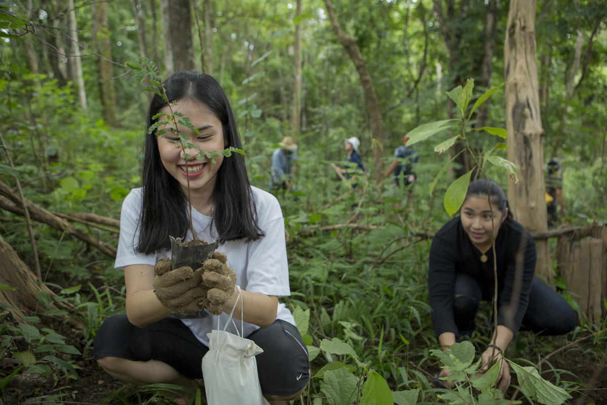 Tree Planting Activity in Chiang Dao, Thailand. © Chanklang  Kanthong / Greenpeace