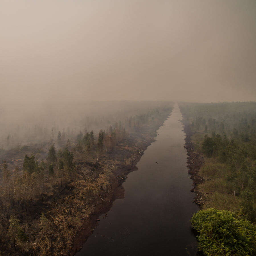 Forest Fires Investigation in PT GAL, Central Kalimantan. © Alif Rizky / Greenpeace