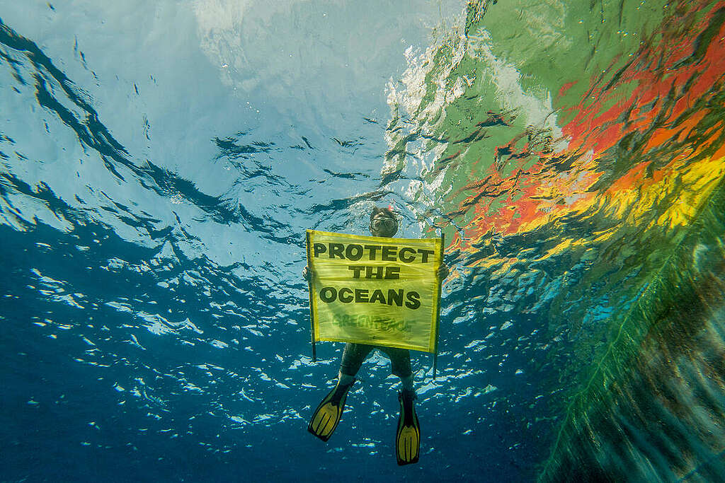 Protect the Oceans Banner in the Pacific Ocean. © Tomás Munita / Greenpeace
