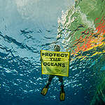 Filmmaker Fábio Erdos holds a banner next to the Arctic Sunrise in the Pacific Ocean, between Galápagos and Ecuador.

The Arctic Sunrise is on a six-week expedition around the Galápagos Islands, with scientists from the Jocotoco Conservation Foundation, the Charles Darwin Foundation, the Galápagos Science Center, MigraMar and Galápagos park rangers.  The expedition will showcase the power of marine protection by documenting the success of the Galápagos Marine Reserve through the incredible wildlife and habitats of the sea near the Galápagos. Data collected during the expedition will help to make the case for a new high seas protected area.