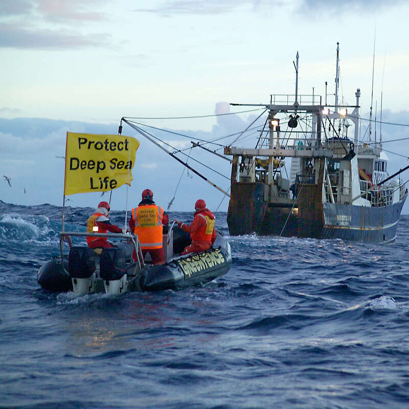 Monitoring Deep Sea Trawling, Tasman Sea. © Greenpeace / Malcolm Pullman