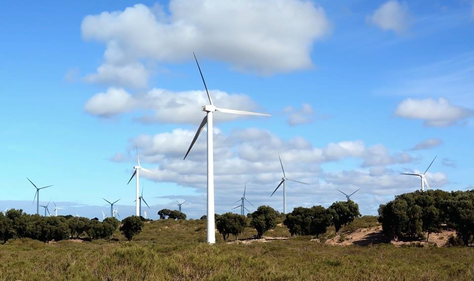 مشروع معان لطاقة الرياح يضع الأردن على خارطة المنافسة العربية - Greenpeace  MENA