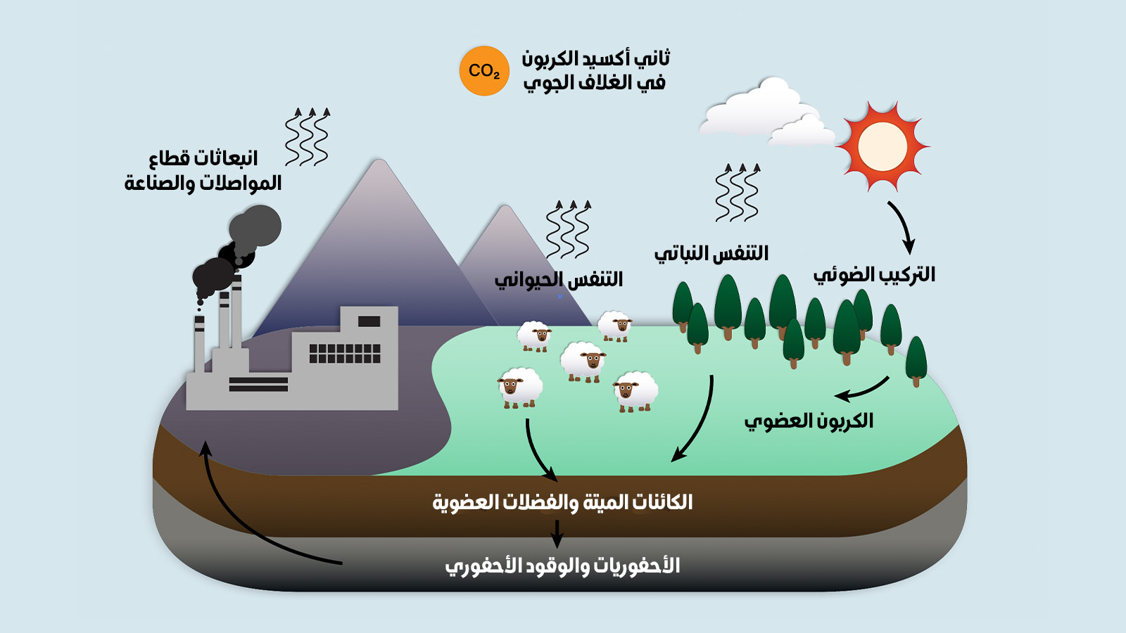 الكربون والحياة على الأرض: توازن هش - Greenpeace MENA