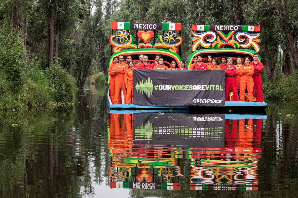 Infórmate - Greenpeace México