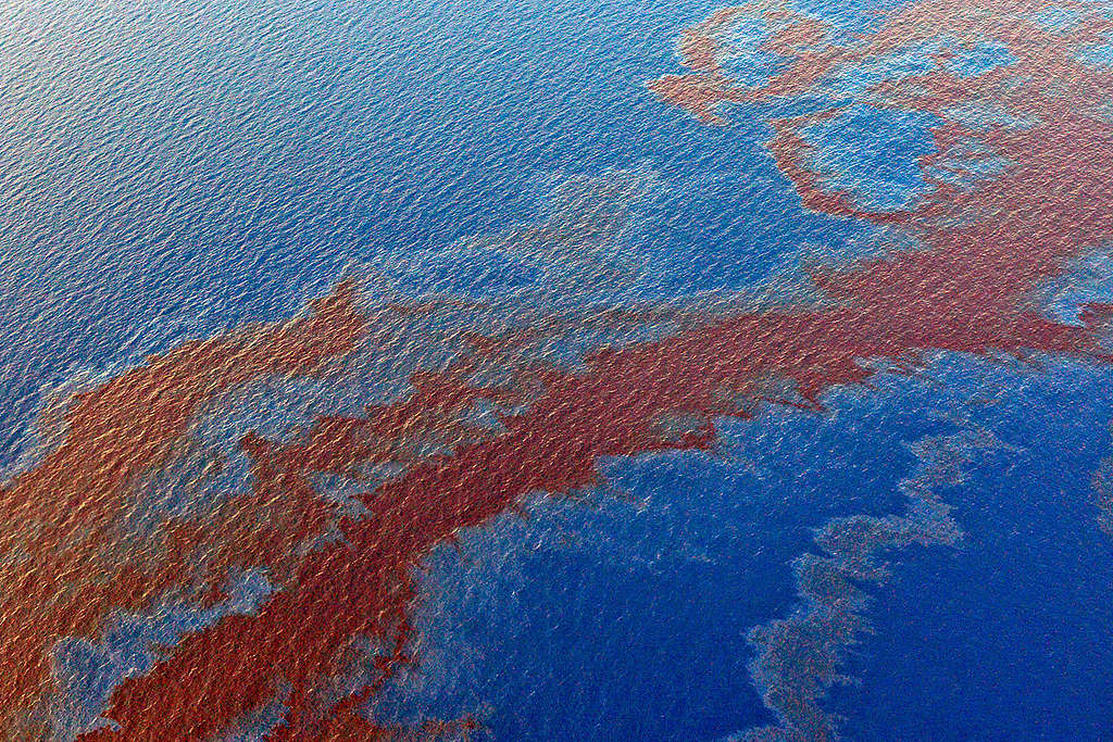 Shell Oil Spill in the Gulf of Mexico. © Derick Hingle