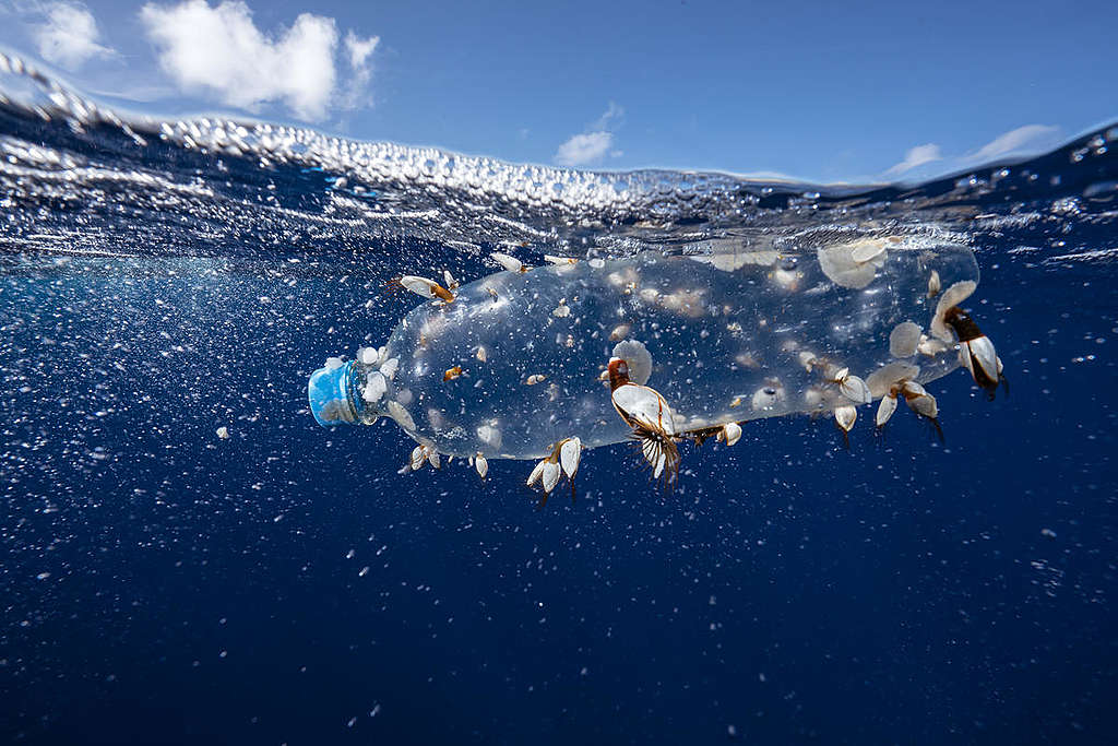 Botella plástica flotando en el océano © Justin Hofman / Greenpeace