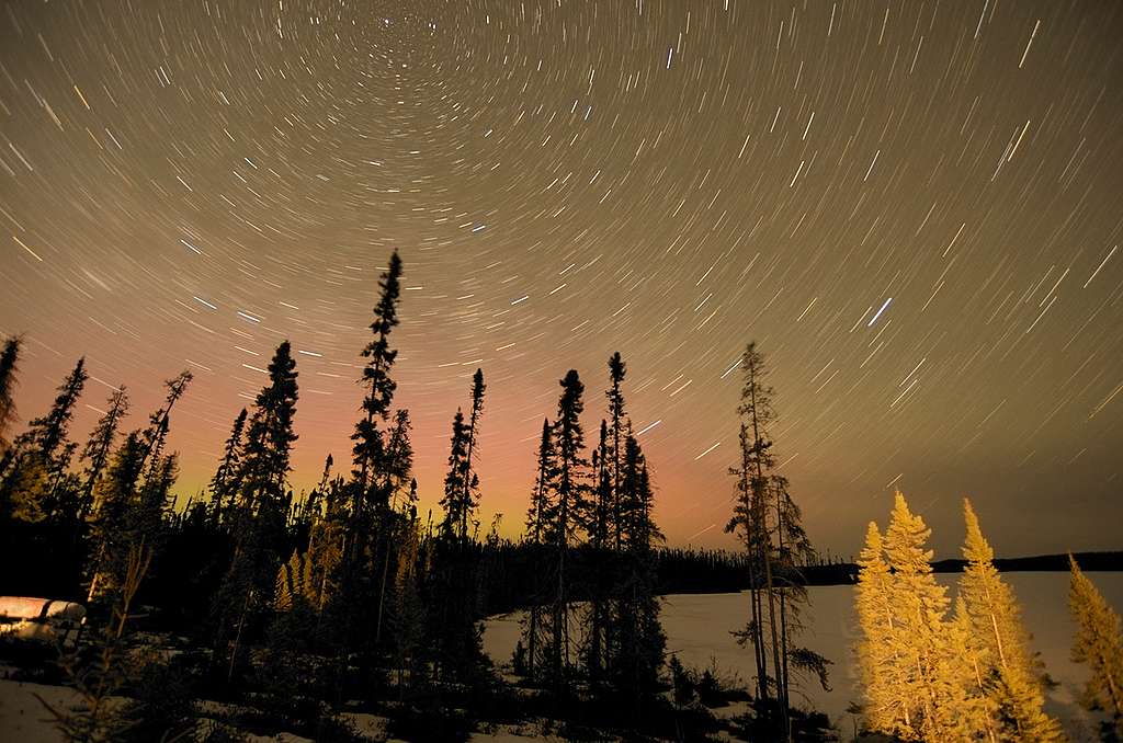 Cielo estrellado visto desde el bosque © Oliver Salge / Greenpeace