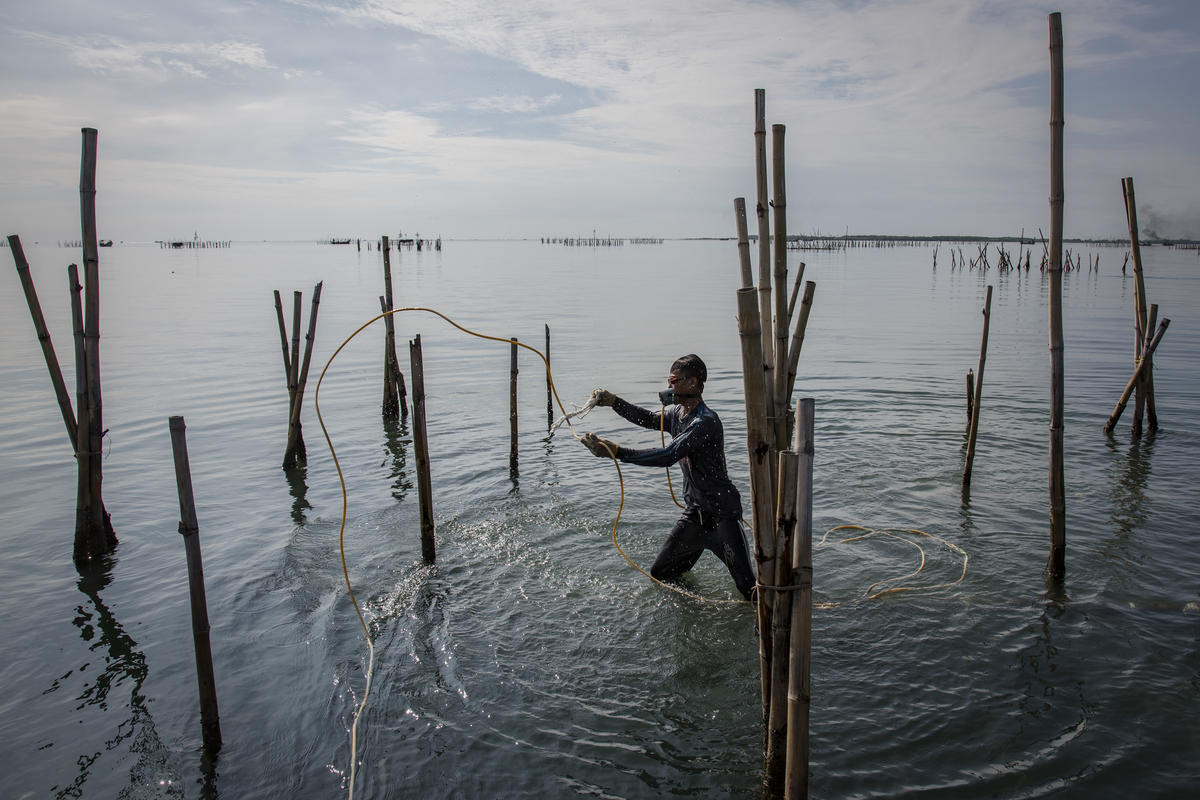 Fishermen in Cirebon. © Ulet Ifansasti / Greenpeace