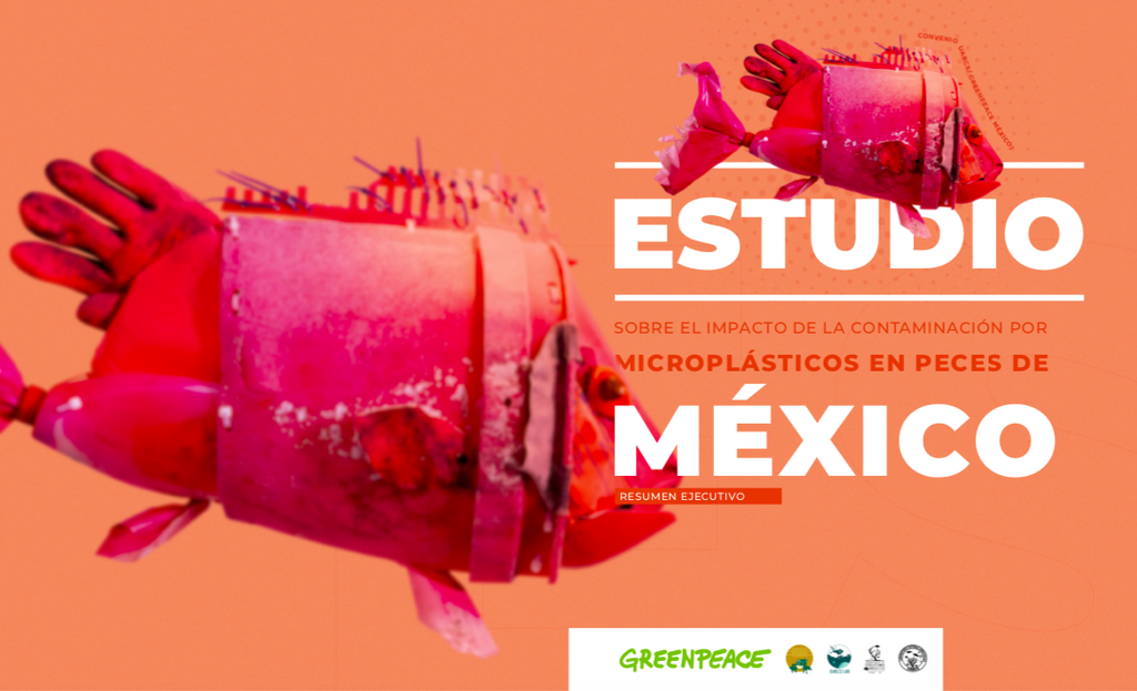 Estudio del impacto de la contaminación por microplásticos de peces en México