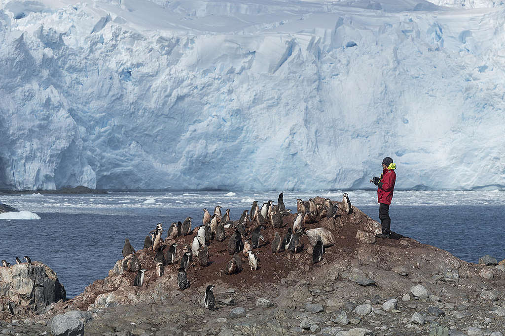 Greenpeace estudia los impactos del cambio climático en islas de la Antártida © Christian Åslund / Greenpeace