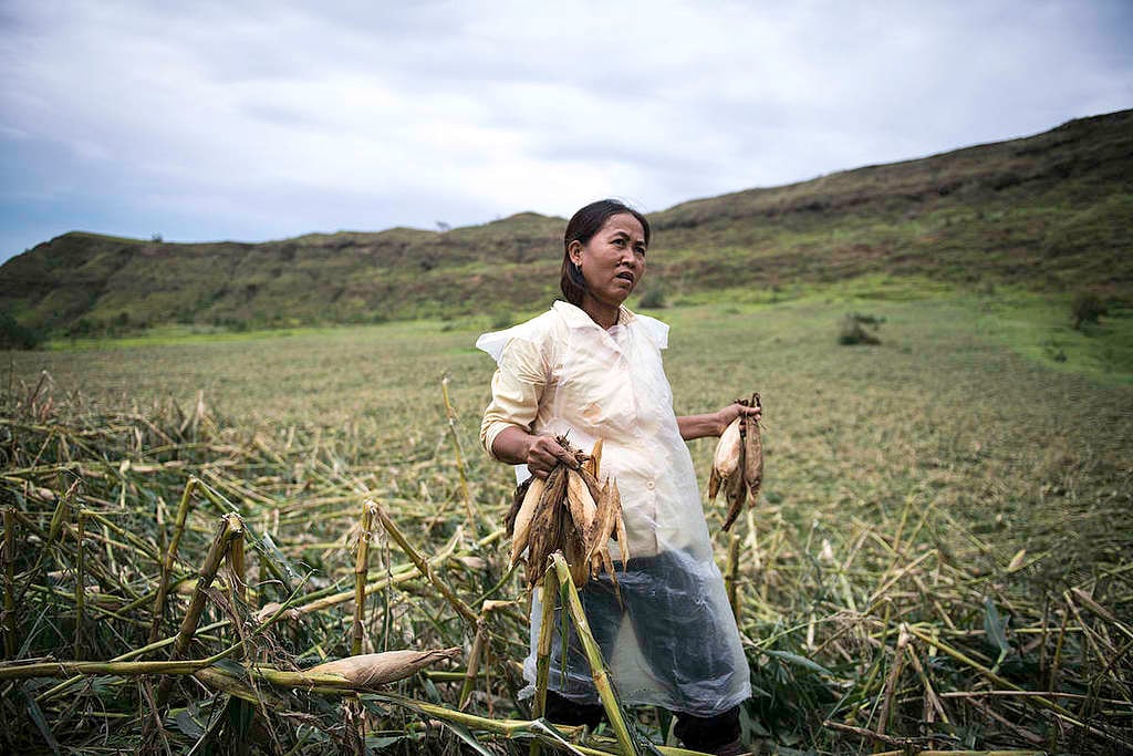 Mujeres en el campo © Richard Atrero de Guzman / Greenpeace