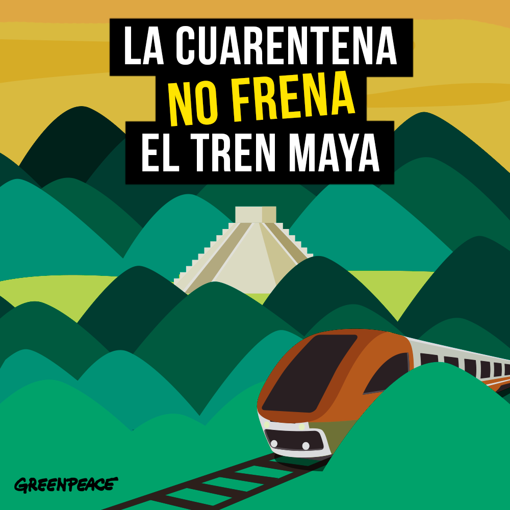 Tren Maya afecta el medio ambiente