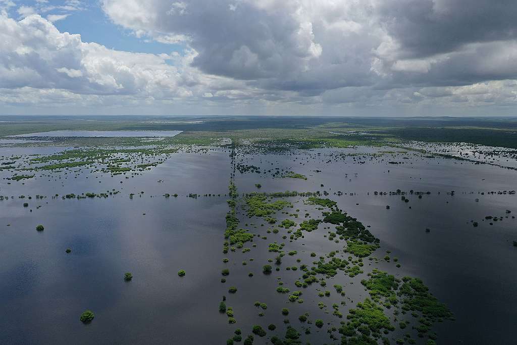 Inundaciones en Yucatán debido a tormenta tropical Cristobal / © Greenpeace Cuauhtémoc Moreno