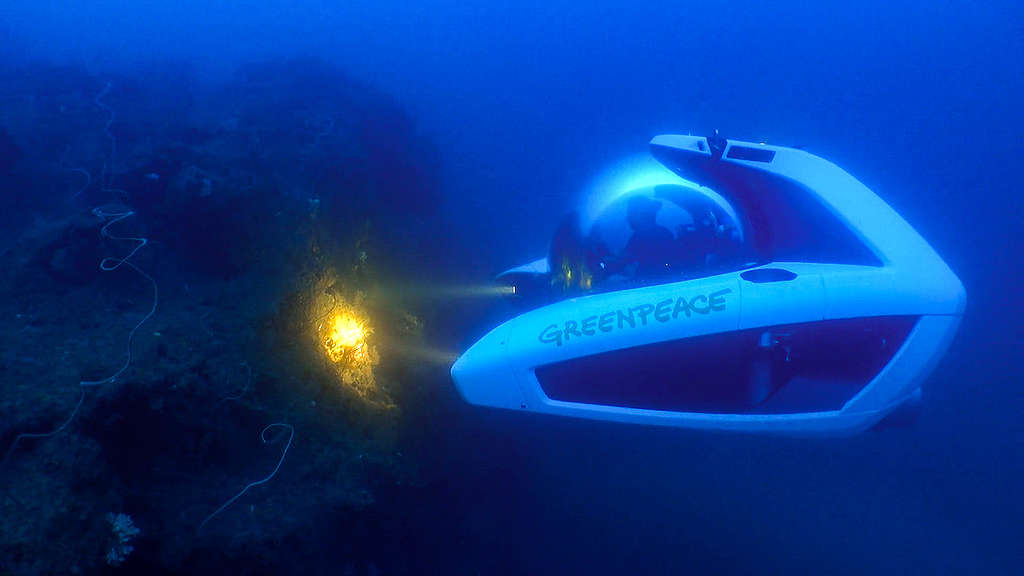 Investigación en los arrecifes de coral de Veracruz a más de 60 metros de profundidad con el sumergible Nemo.