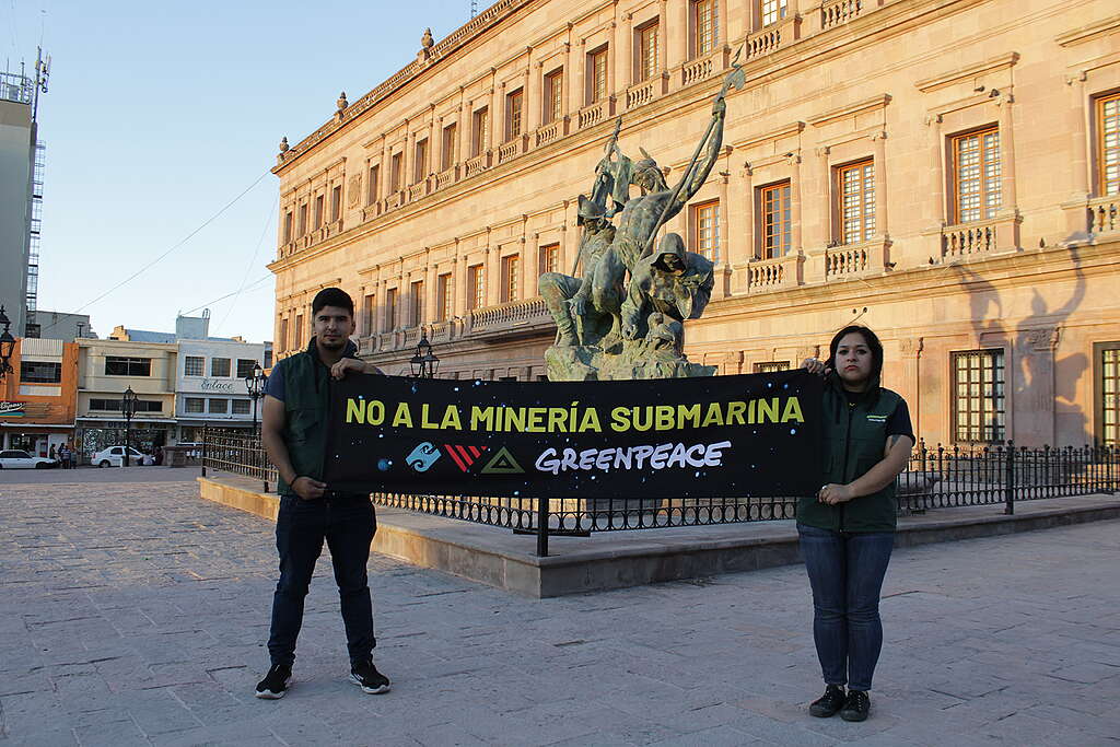 Voluntarios y voluntarias de Greenpeace México salieron a las calles a manifestarse en contra de la minería submarina.